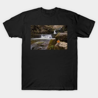 Sgwd Isaf Clun Gwyn Waterfall T-Shirt